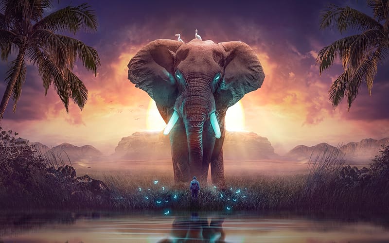 Elephant, art, bird, fantasy, man, giant, water, HD wallpaper