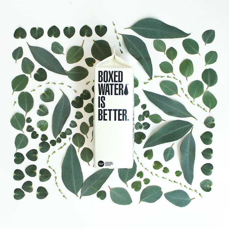 Boxed Water carton next to intricately arranged green leaves, HD phone wallpaper