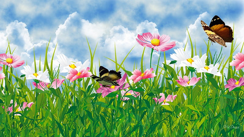 Wild Flowers, grass, fresh, butterflies, spring, country, sky, clouds, summer, garden, lawn, cosmos, daisy, HD wallpaper