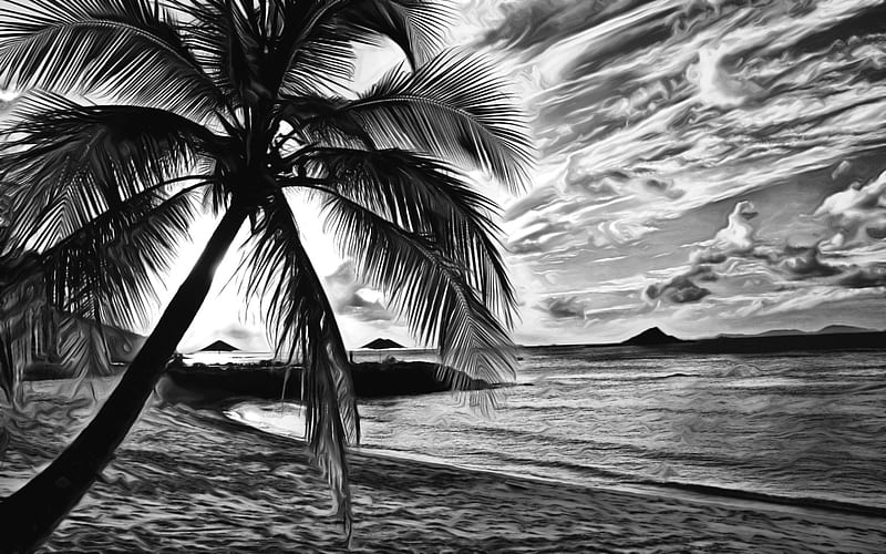 August Memories, art, islands, sun, see, dusk, black, palm, bonito, sunset, clouds, beach, august, tree, vacations, white, HD wallpaper