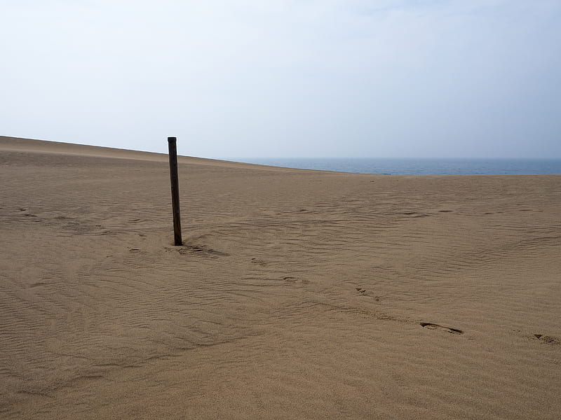 Tottori Sand Dunes, sand, japan, tottori, dunes, HD wallpaper