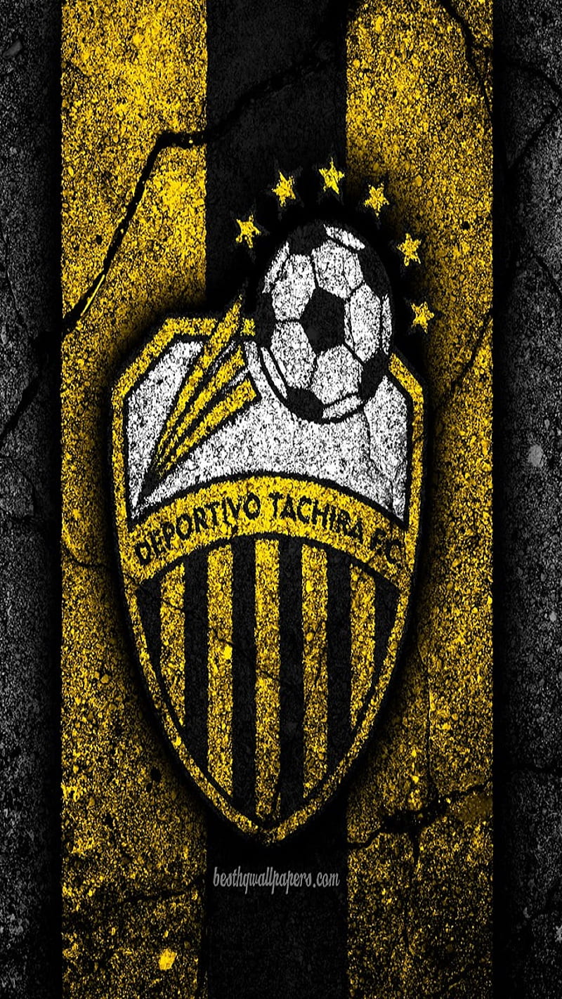 Deportivo tachira , baloncesto, deportivo, football, football, fvf, logo, soccer, tachira, venezuela, vinotinto, HD phone wallpaper