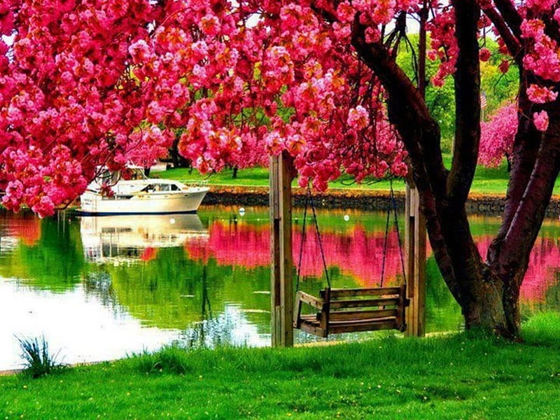 Beautiful Park, trees, boat, blossom, swing, pretty pink flowers, beautiful nature, river, green grass, HD wallpaper