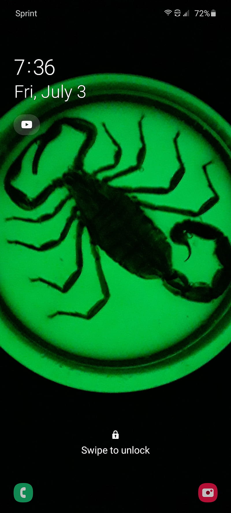 Neon Scorpion, green, neon, HD phone wallpaper