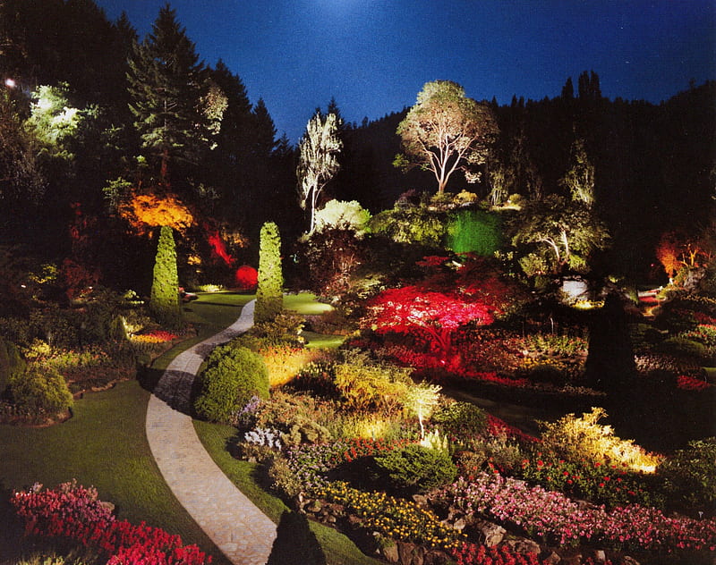 garden at night, fantasy, sunken, garden, magic, lights, night, HD wallpaper