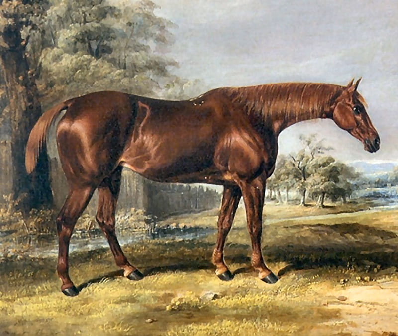 Liberty - Horse, art, thoroughbred, equine, bonito, horse, artwork, animal, Thomas Bretland, painting, wide screen, Bretland, thorobred, HD wallpaper