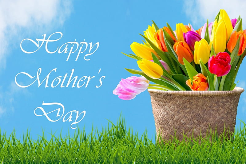 To All Mothers, grass, basket, flowers, Spring, tulips, clouds, sky, HD wallpaper