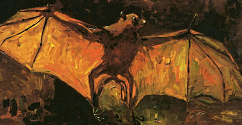bat, Vincent, Gogh, flying fox, van, HD wallpaper