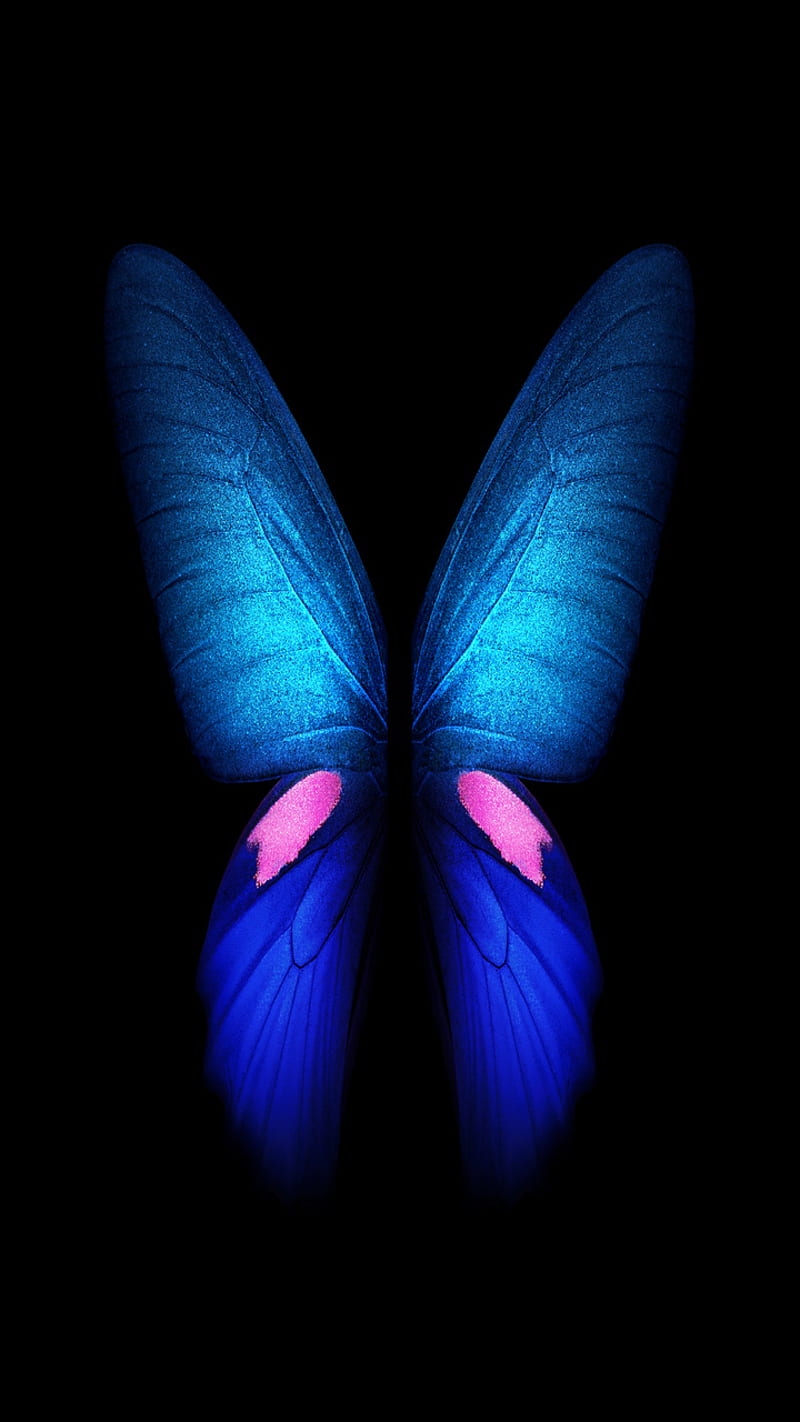 Betterfly, abstract, bird, blue, butterflies, butterfly, siempre ...