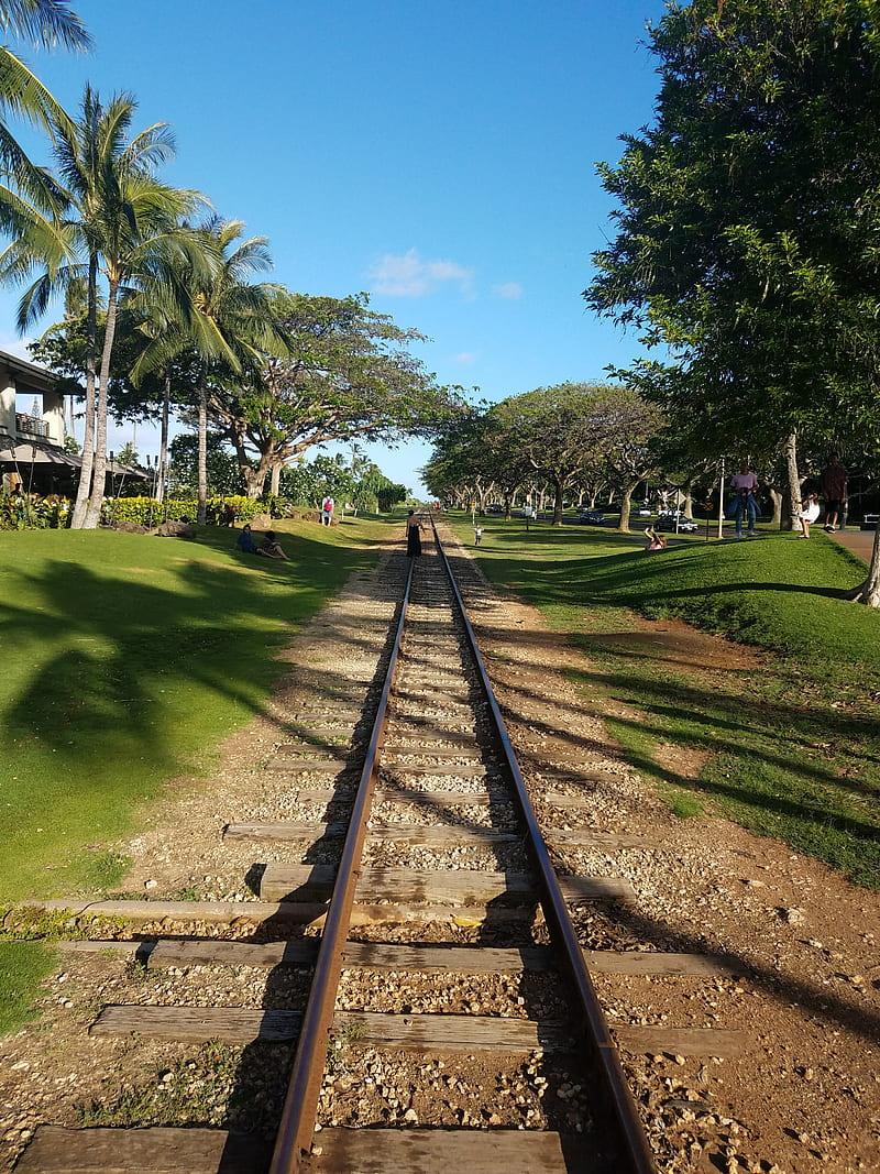 Paradise Track island, railroad, railway, tracks, train, travel, HD phone wallpaper