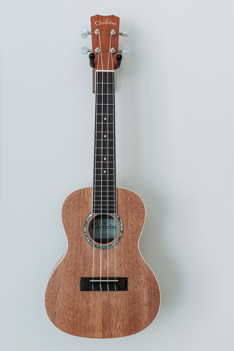 brown ukulele, HD phone wallpaper