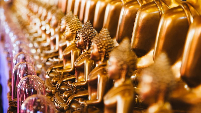 Golden Idols Lord Buddha, HD wallpaper