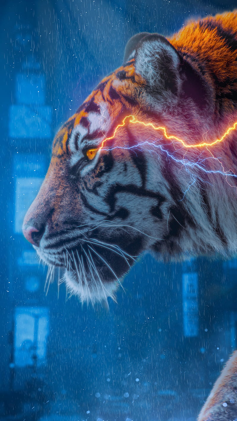 Tiger, Blue, Joart, rain, Tiger, flash, red, speedster, the flash, thunder,  HD phone wallpaper | Peakpx