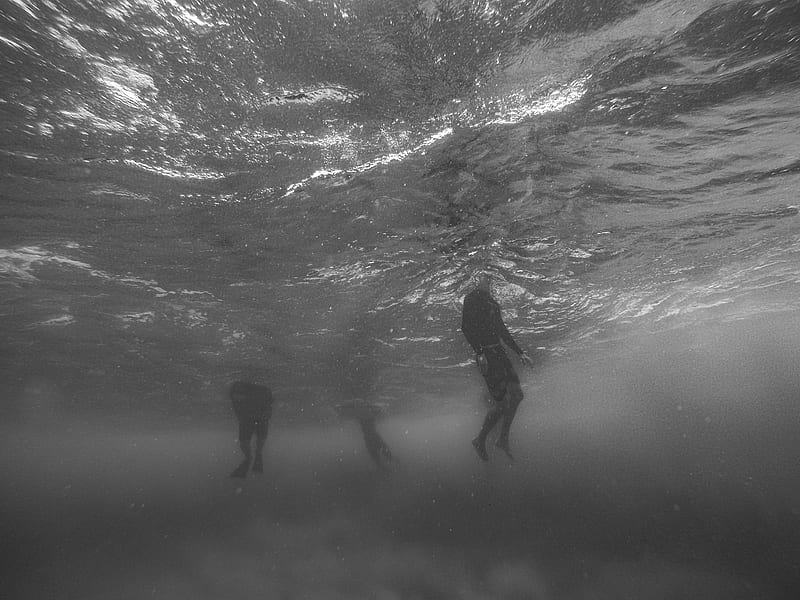 grayscale taken underwater of people swimming, HD wallpaper