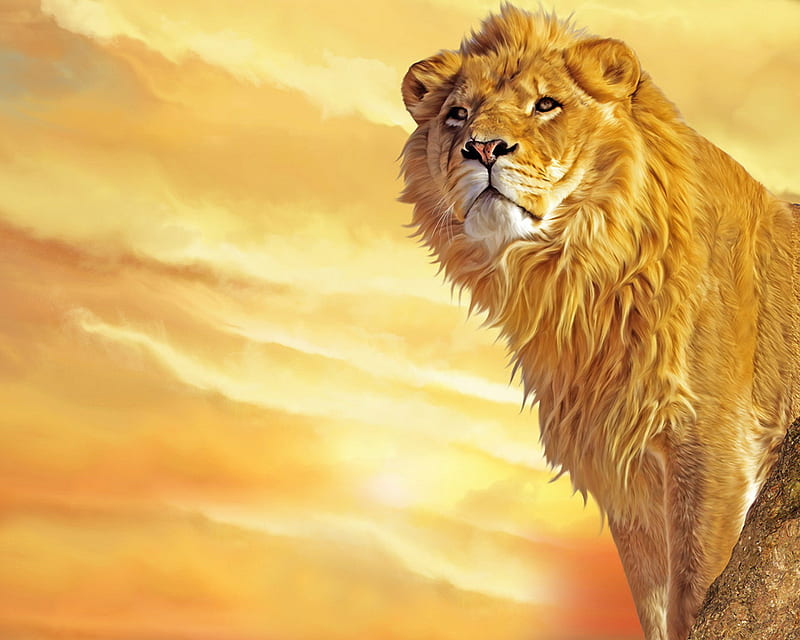 Beast Lion King Of Beasts !!!, 3d-art, background, yellow, abstract, lion, HD  wallpaper | Peakpx