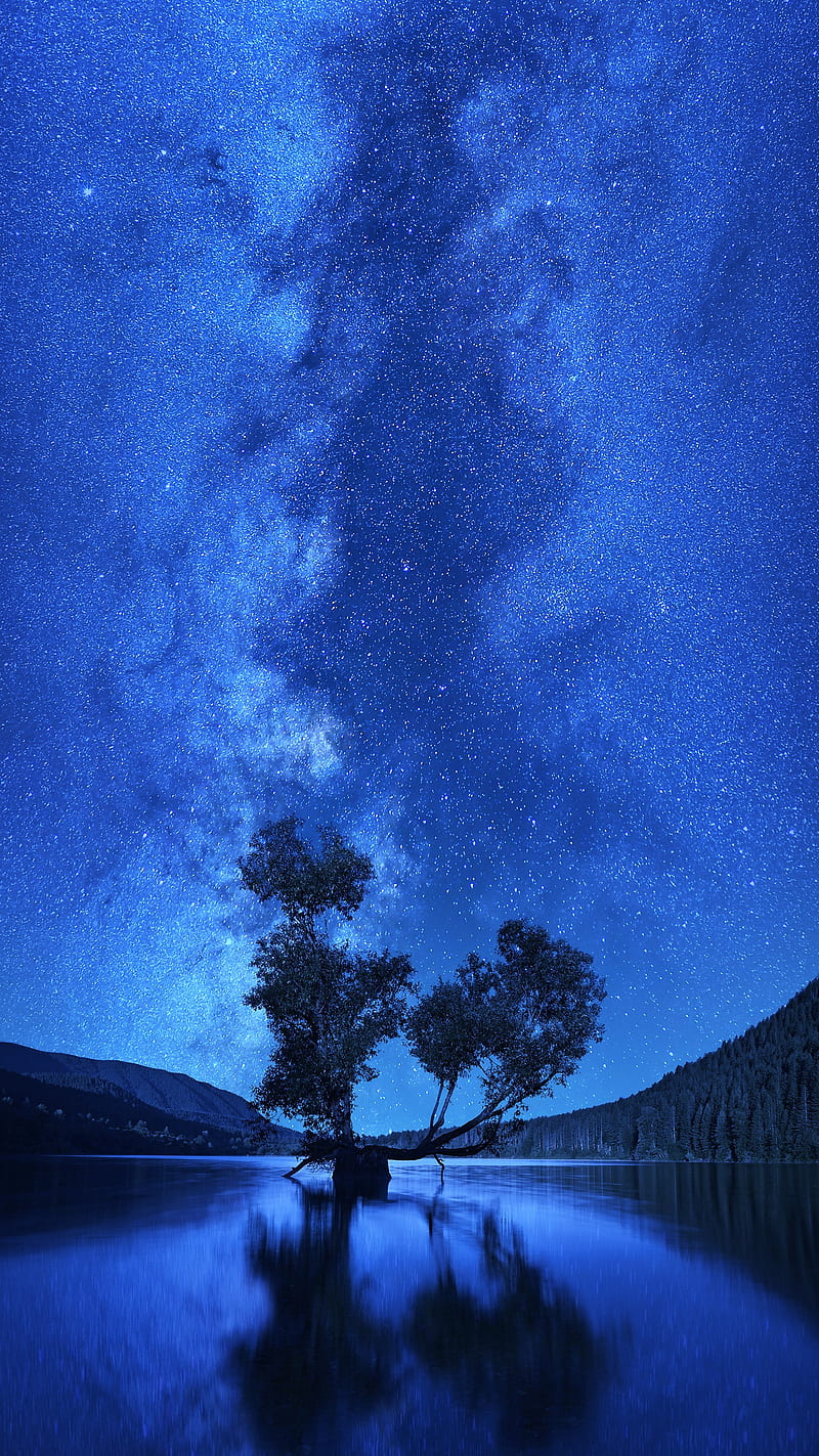 Starry lake, beauty, blue, nature, sky, star, tree, water, HD phone wallpaper