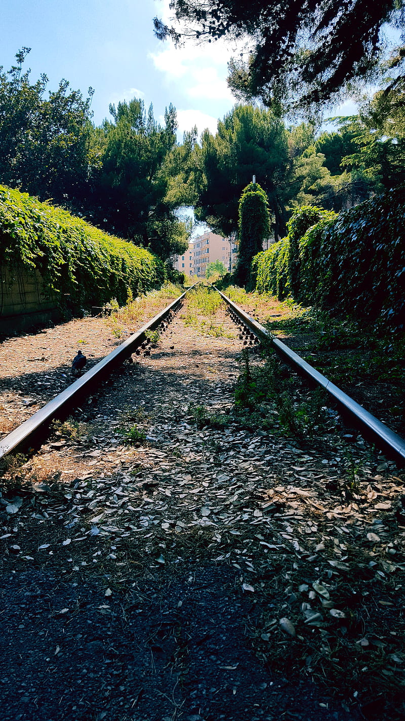Old train line, nature, oldtrainline, railway, travel, HD phone wallpaper