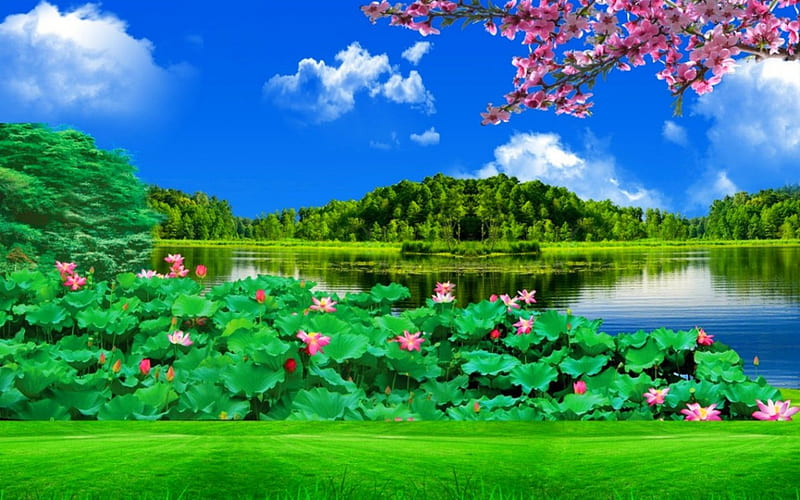 Beauty of nature, flowers, nature, green, lake, HD wallpaper