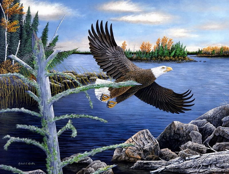 Majestic flight, birs, forest, art, wings, flight, eagle, bonito, sky, lake, animal, wild, painting, nature, river, majestic, HD wallpaper