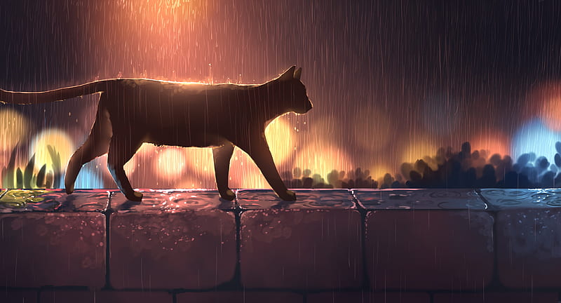 Anime, Original, Cat, rain, HD wallpaper