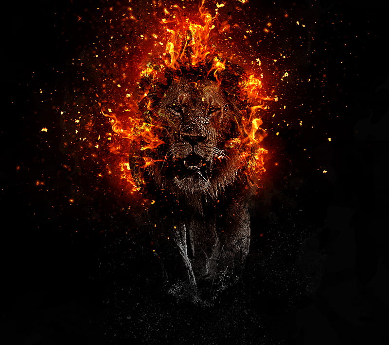 lava lion, explosion, fire, saguaro, HD wallpaper