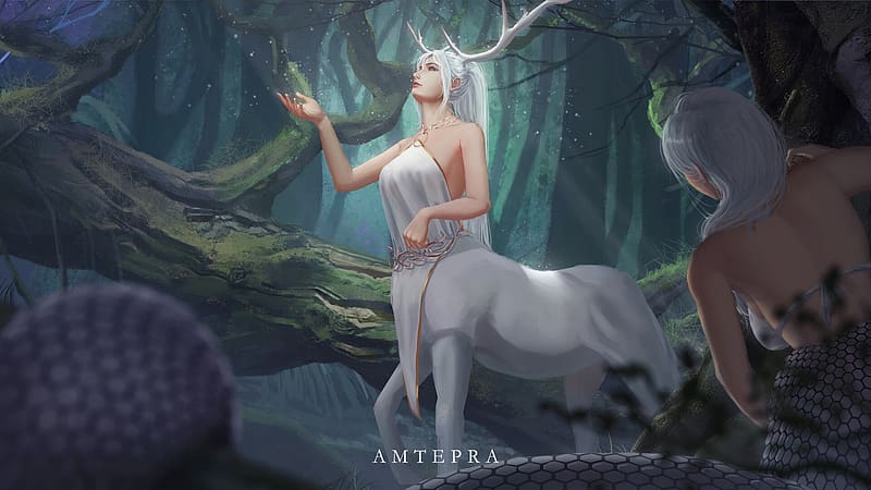 Centaur, white, horns, fantasy, art, girl, amtepra, creature, HD wallpaper