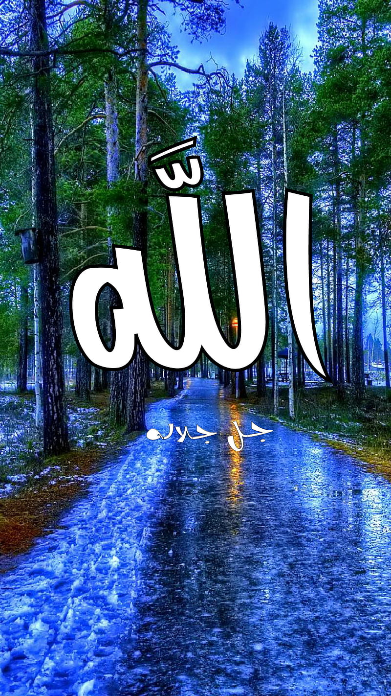 Allah , god, nice, tree, islamic, athkar, arabic, nature, theme, HD phone wallpaper