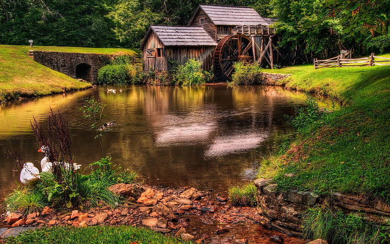watermill-Beautiful natural landscape, HD wallpaper