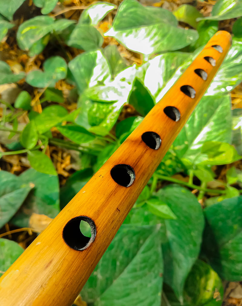 Premium Photo  Hand holding indian classical flute