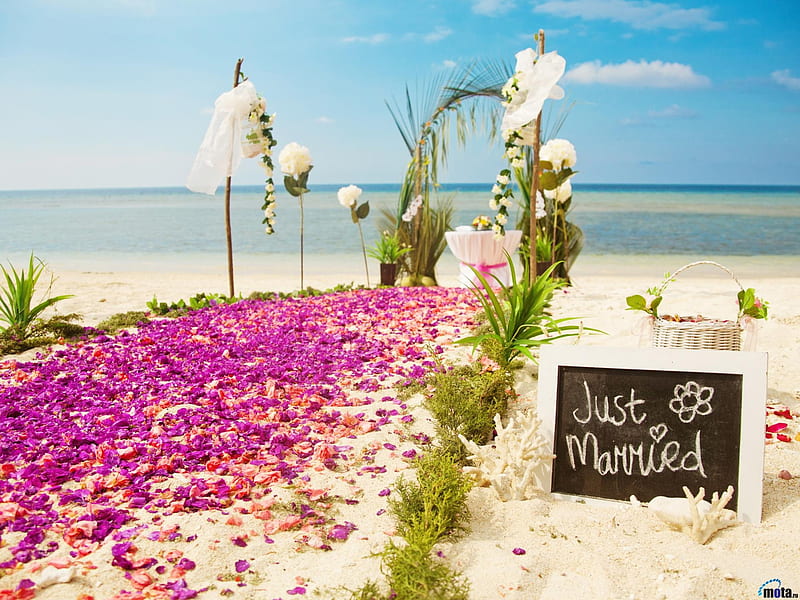 Decorating Beach for Weddings, beach, decorating, nature, sky, wedding, sea, HD wallpaper