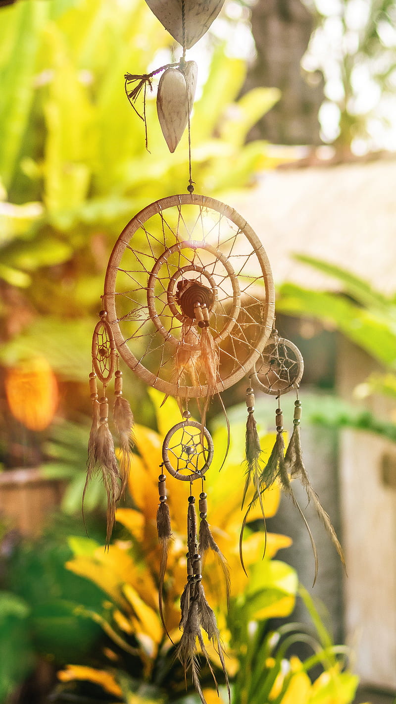 Beautiful dreamcatcher, bonito, Lui, amazing, calm, catch dreams, colorful, daydream, dreamcatcer, dreamcatcher, dreamer, dreaming, dreams, earth, great, green, nature, phtography, safe, sweet dreams, symbolic, view, vivid, window, yellow, HD phone wallpaper