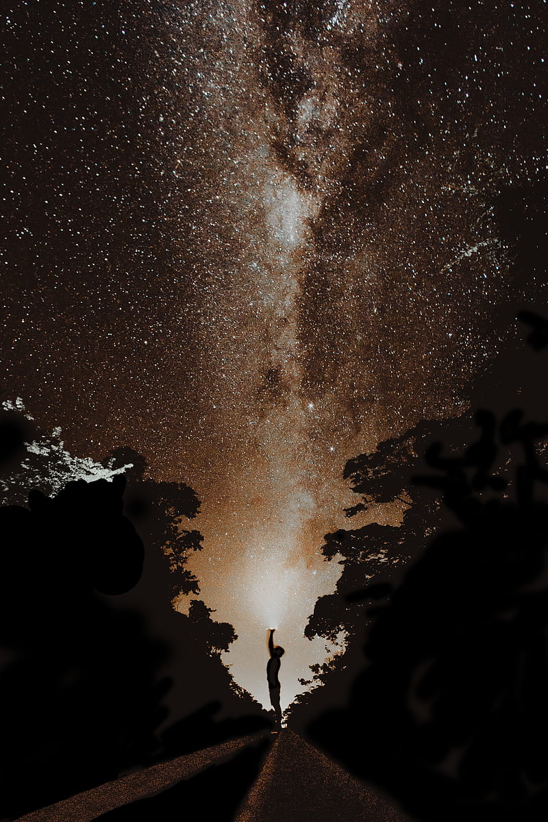 starry sky, milky way, silhouette, stars, night, hop, HD phone wallpaper
