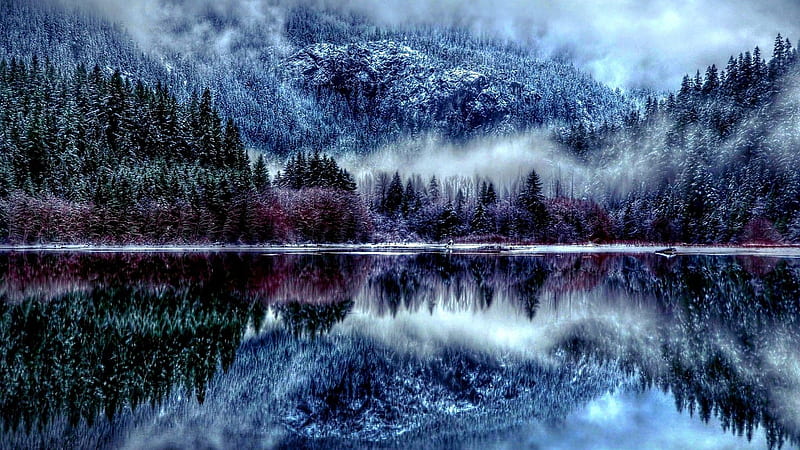 Fog Covered Colorful Pine Trees With Reflection On Water During Morning Time Nature, HD wallpaper