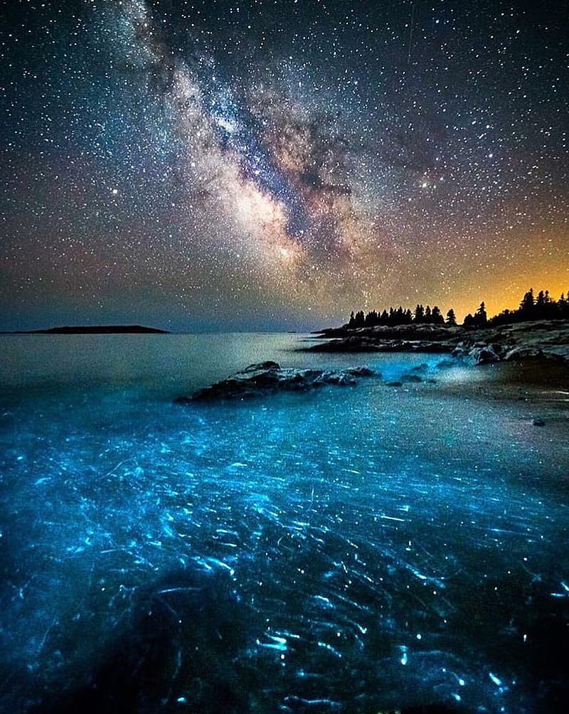 Bioluminescence, blue, infinity, milky, nature, night, sky, space, stars, HD phone wallpaper
