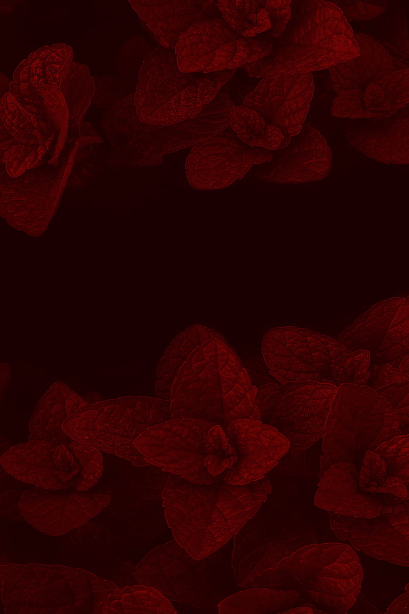 mint, leaves, plant, macro, red, dark, HD phone wallpaper