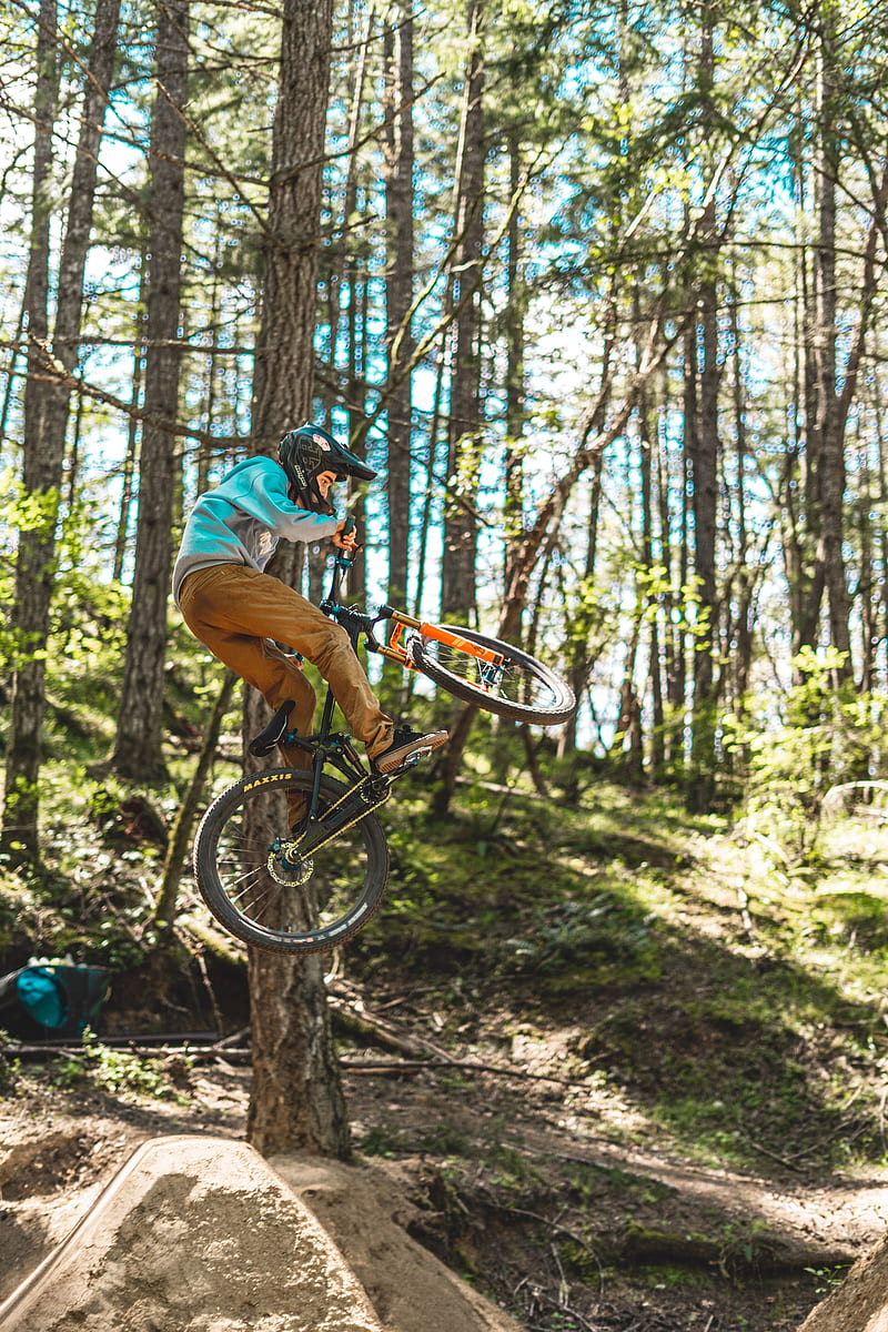 Bike, cyclist, stunt, forest, HD phone wallpaper | Peakpx