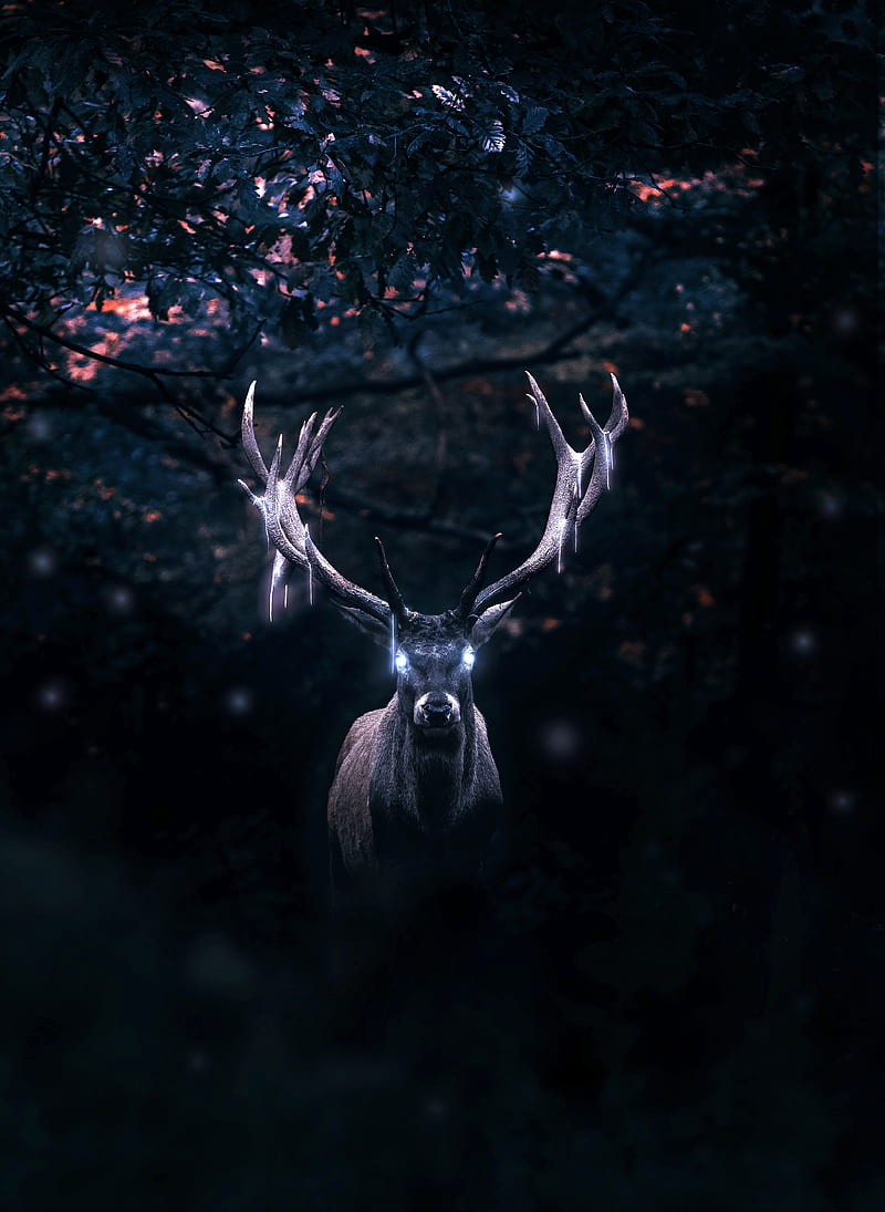 Fantasy deer, alien, animals, different, light, nature, HD phone wallpaper