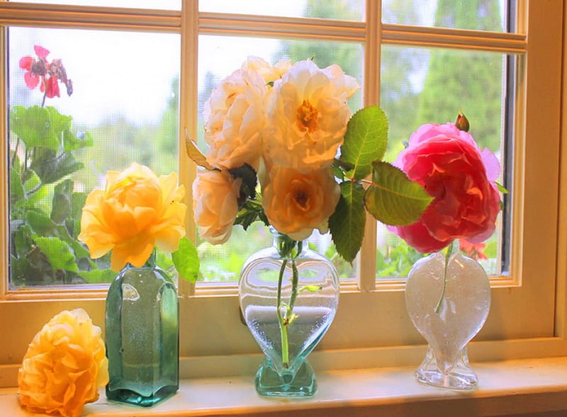 Spring ledge, sunny, flowers, window ledge, vases, HD wallpaper