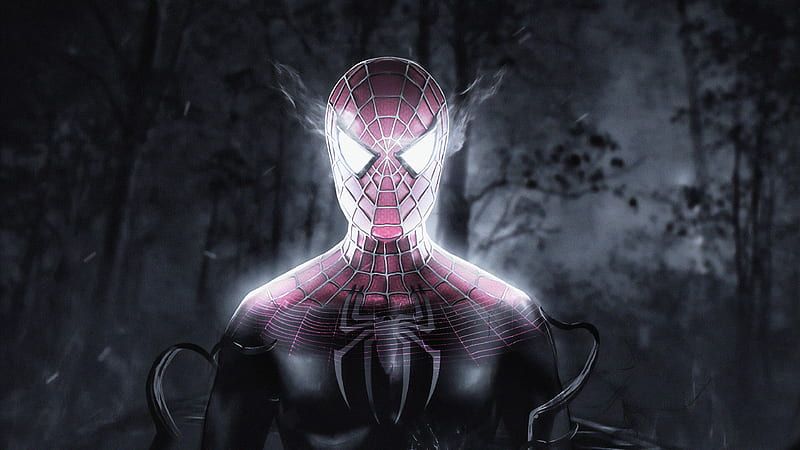 Spider Man, avenger, hero, marvel, sony, super, superhero, HD wallpaper