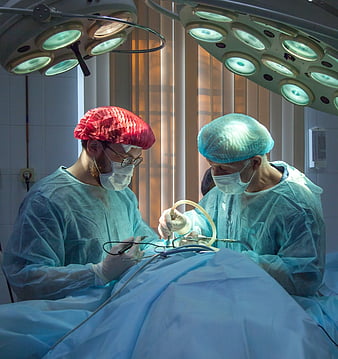 Gender bias skewing surgeon referrals | Pursuit by The University of  Melbourne