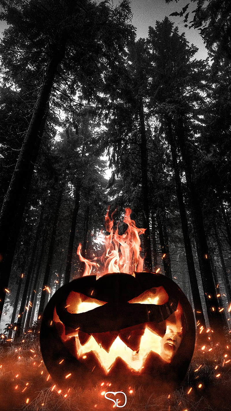Spooky Season, 2020, fire, halloween, october, series graphix, HD phone wallpaper
