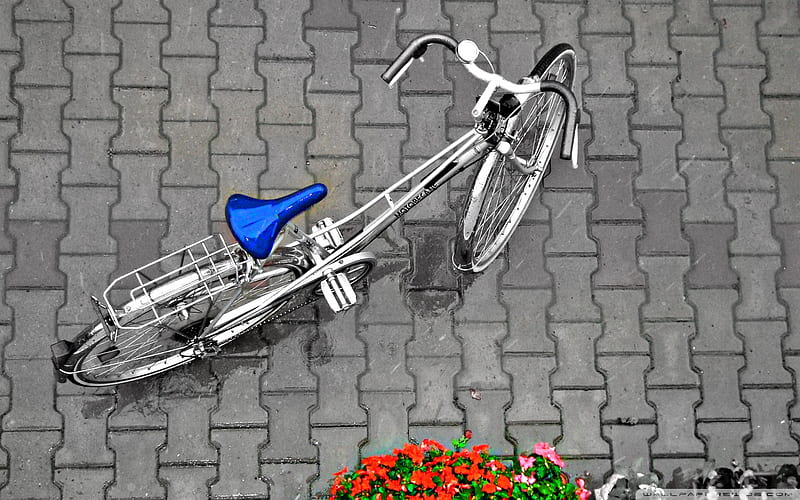 bike in the rain, blue seat, cobble stone, bike, rain, HD wallpaper