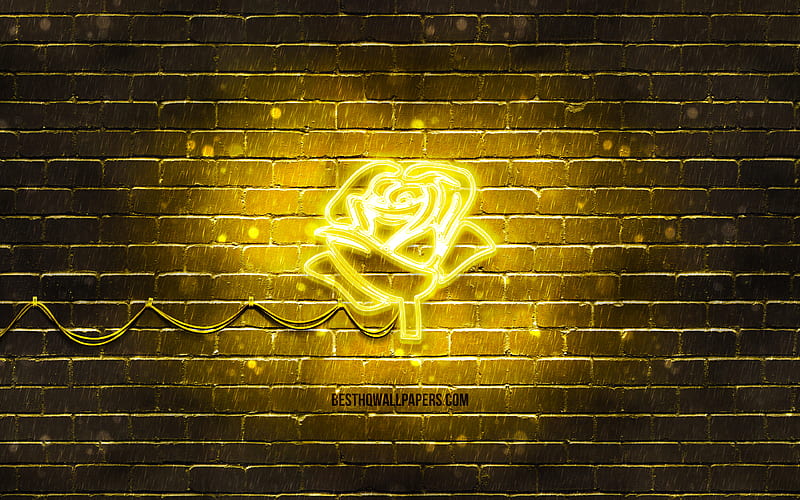 Yellow Rose neon icon yellow background, neon symbols, Yellow Rose, neon icons, Yellow Rose sign, neon flowers, nature signs, Yellow Rose icon, nature icons, HD wallpaper