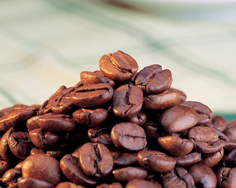 Coffee Beans, saucer, fresh, beans, ground, black, coffee, cup, brewed, drink, morning, HD wallpaper