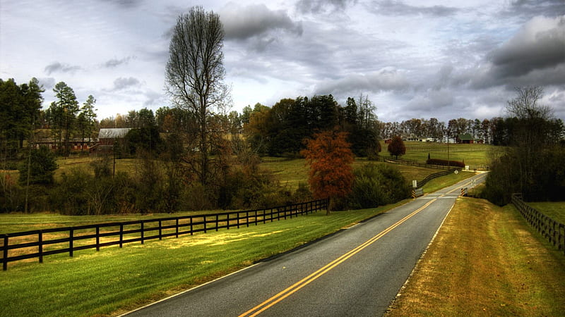 Farm Landscape Stock Photo - Download Image Now - Country Road