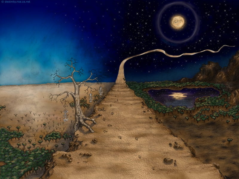 The Path, tree, moon, fish bones, path, road, sky, bones, lake, HD wallpaper