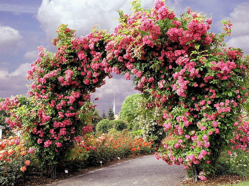 Rosy Garden Gate, pretty, Gate, Garden, Roses, HD wallpaper
