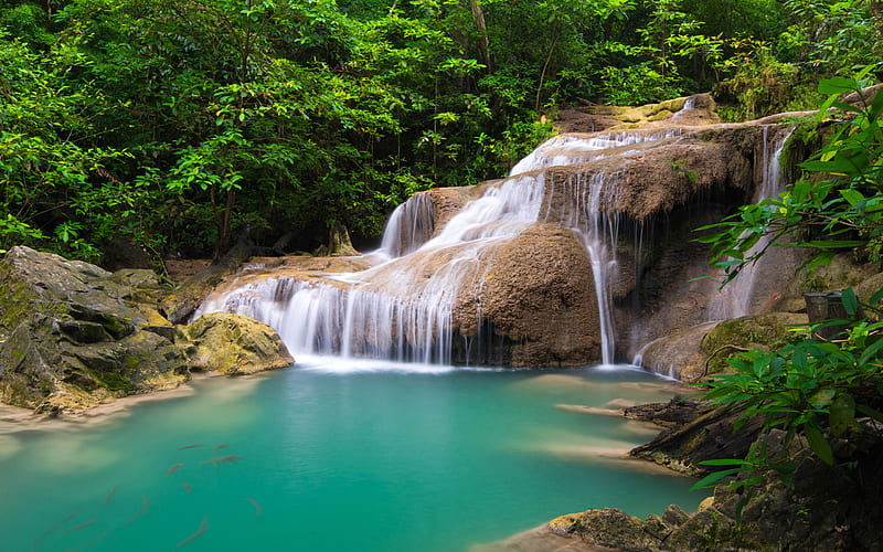 waterfall, rainforest, Thailand, jungle, blue lake, koi carps, goldfish, beautiful waterfalls, HD wallpaper