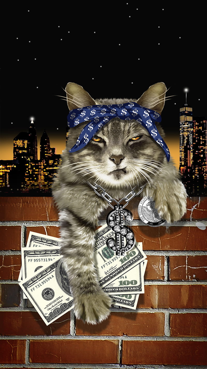Gangsta Cat , Fenrir, Gangstas Cats, HD phone wallpaper