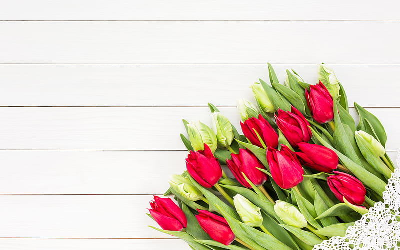 beautiful tulips, bouquet of tulips, spring flowers, beautiful flowers, green tulips, spring, light wooden teksutra, tulips, HD wallpaper
